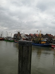 Neuharlingersiel Mwe