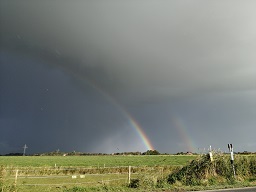 Regenbogen